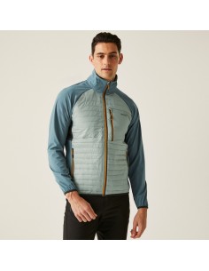 Softshell ProHybridII Regatta Glaç/Strm 2