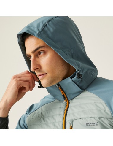 Softshell ProHybridII Regatta Glaç/Strm