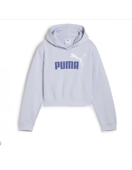 PUMA ESS-2COLOR LOGO HOODLE