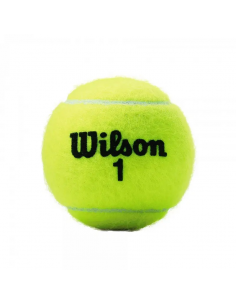 BOTE 4 PELOTAS TENIS WILSON "CHAMPIONSHIP XD" 2