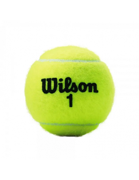 BOTE 4 PELOTAS TENIS WILSON "CHAMPIONSHIP XD"