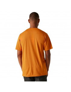 Camiseta marron  Regatta   HOMBRE  MARRON