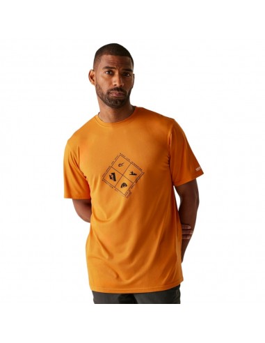 Camiseta marron  Regatta   HOMBRE  MARRON
