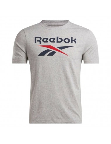 Camiseta Manga Corta Gris REEBOK  IDENTITY BIG LOGO TEE GRIS HOMBRE