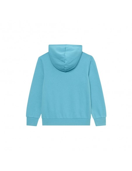 Sudadera Azul Champion Capucha