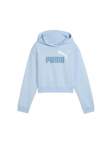 Sudadera azul PUMA ESS 2 COLOR  LOGO HOODIE blue 690717-48