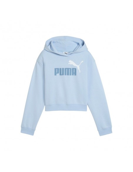Sudadera azul PUMA ESS 2 COLOR  LOGO HOODIE blue 690717-48