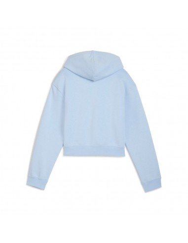 Sudadera azul PUMA ESS 2 COLOR  LOGO HOODIE...