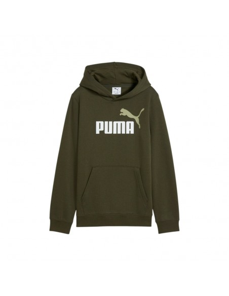 Sudadera verde PUMA ESS 2 COLOR LOGO HOODIE FL 685822-70