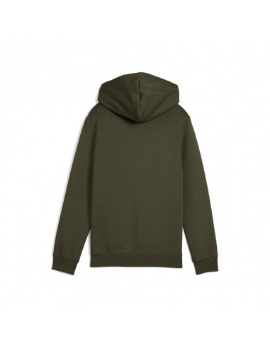 Sudadera verde PUMA ESS 2 COLOR LOGO HOODIE FL...