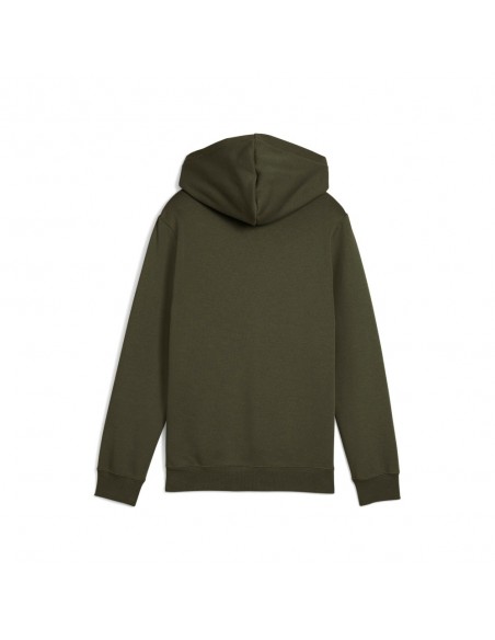 Sudadera verde PUMA ESS 2 COLOR LOGO HOODIE FL 685822-70