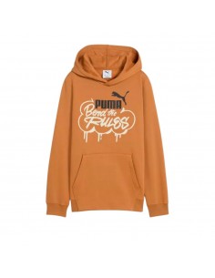Sudadera marron Puma marron JR 2