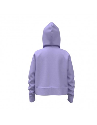 Sudadera morada UNDER ARMOUR morada mujer RIVAL...