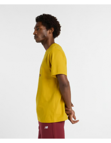 Camiseta NEW BALANCE SE SPEK LOGO TEE MT53502...