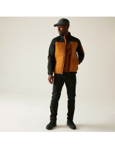 Cazadora marrón REGATTA CedenHybrid  marrón HOMBRE...