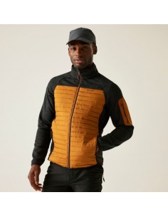 Cazadora marrón REGATTA CedenHybrid  marrón HOMBRE... 2