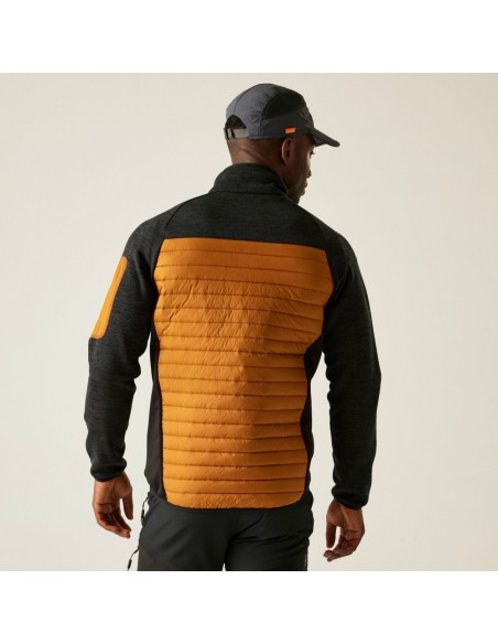 Cazadora marrón REGATTA CedenHybrid  marrón HOMBRE RMN310-ZLK