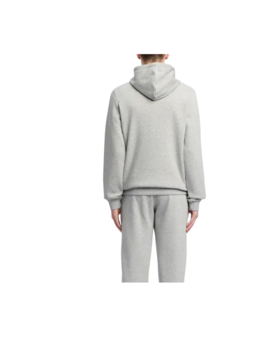 SUDADERA gris REEBOK TRENT 2 COL.LOGO HOODY...