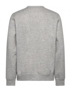 Sudadera CHAMPION HOODED SWEATSHIRT 221792 NOXM Gris 2