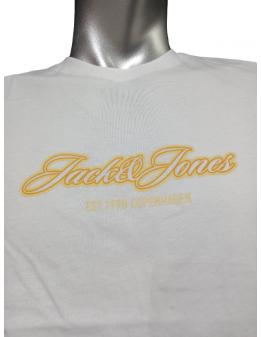 Camiseta JACK & JONES JORCATSKILLS BALLON TEE...