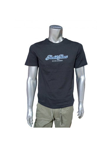 Camiseta JACK & JONES JORCATSKILLS BALLON TEE...