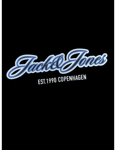 Camiseta JACK & JONES JORCATSKILLS BALLON TEE...