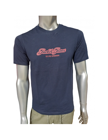 Camiseta JACK & JONES JORCATSKILLS BALLON TEE...