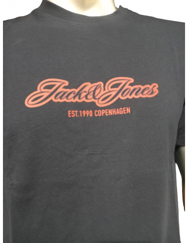 Camiseta JACK & JONES JORCATSKILLS BALLON TEE...