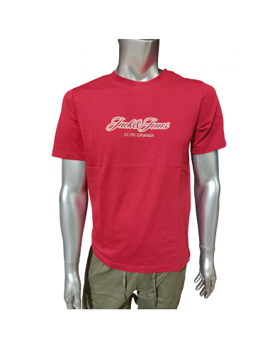 Camiseta JACK & JONES JORCATSKILLS BALLON TEE...