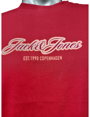 Camiseta JACK & JONES JORCATSKILLS BALLON TEE...