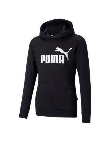 ESS Logo Hoodie FL G Puma Black