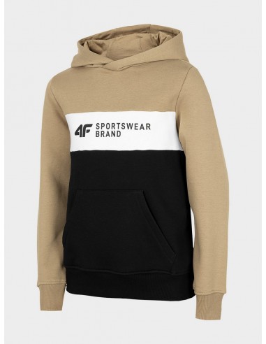 4F-BOYS SWEATSHIRT JBLM003