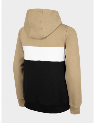 4F-BOYS SWEATSHIRT JBLM003