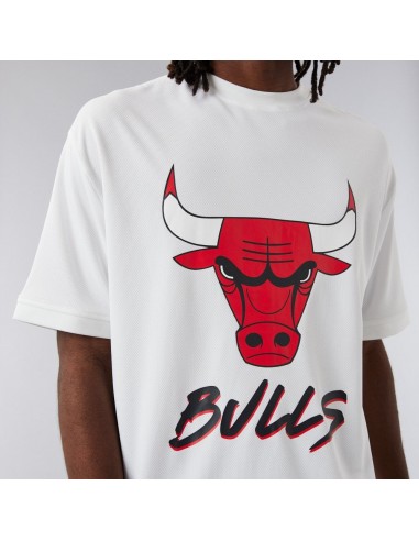 Camiseta NEW ERA NBA SCRIPT MESH TEE CHIBUL...