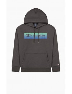 CHAMPION-Hooded Sweatshirt-BS501 2