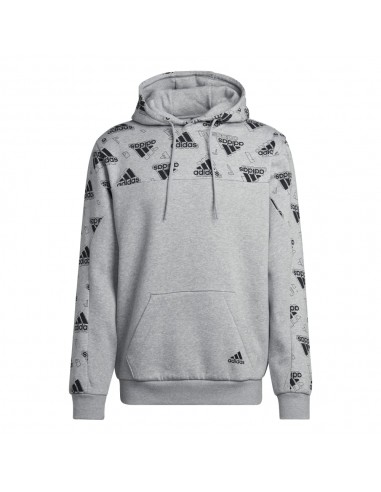 ADIDAS-M FL GFX Hoodie BRGRIN