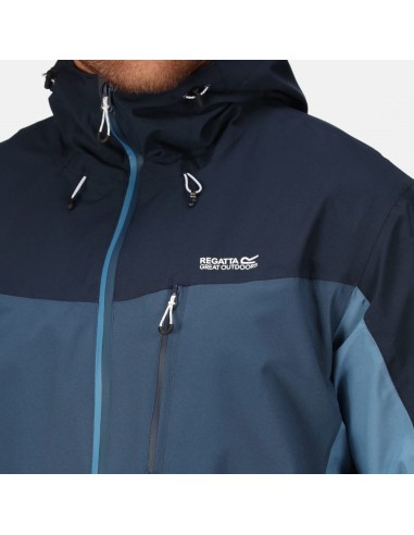 Regatta-Birchdale-785