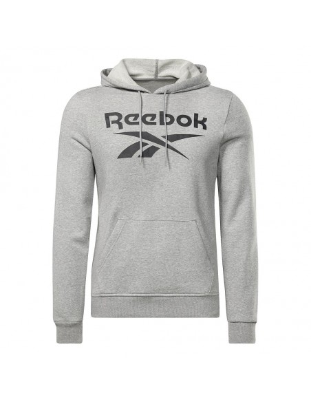 Sudadera REEBOK RI FT BIG LOGO OTH HZ8786 Gris