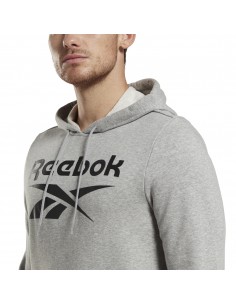 Sudadera REEBOK RI FT BIG LOGO OTH HZ8786 Gris 2