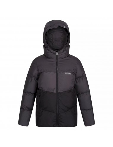 Regatta-Lofthouse VI-YGL