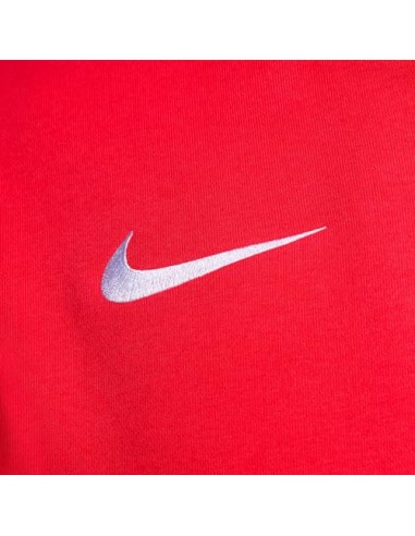 Chaqueta NIKE NIKE M FLC PARK20 PO HOODIE...
