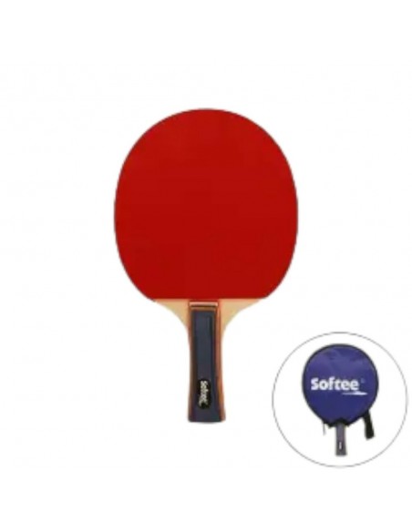 RAQUETA TENIS DE MESA P100