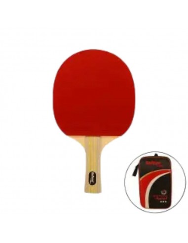 RAQUETA TENIS DE MESA P900 PRO