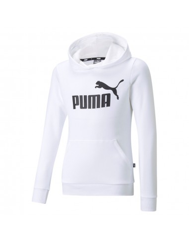 ESS Logo Hoodie TR G Puma White