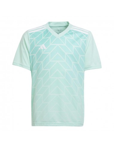 Camiseta ADIDAS T ICON 23 JSY IC1255 Verde