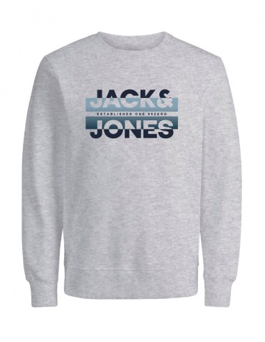 Sudadera JACK & JONES JCORAY COLOR SWEAT CREW NECK FST 12267544 GRIS Gris