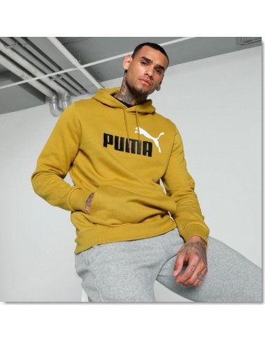 PUMA SUDADERA CAMPUCHA ESS+ 2 COL BIG LOGO