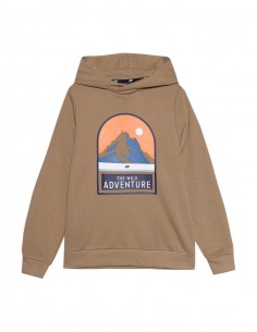 Sudadera 4F SWEATSHIRT M0933-NIÑO-81S-MARRON 2