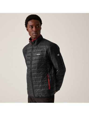 REGATTA ANORACK WENTWOOD HOMBRE