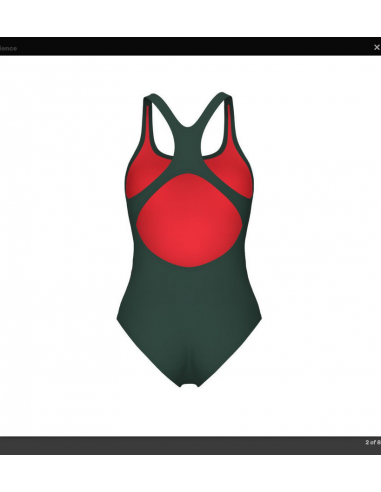 ARENA BAÑADOR TEAM SWIMSUIT PRO SOLID MUJER